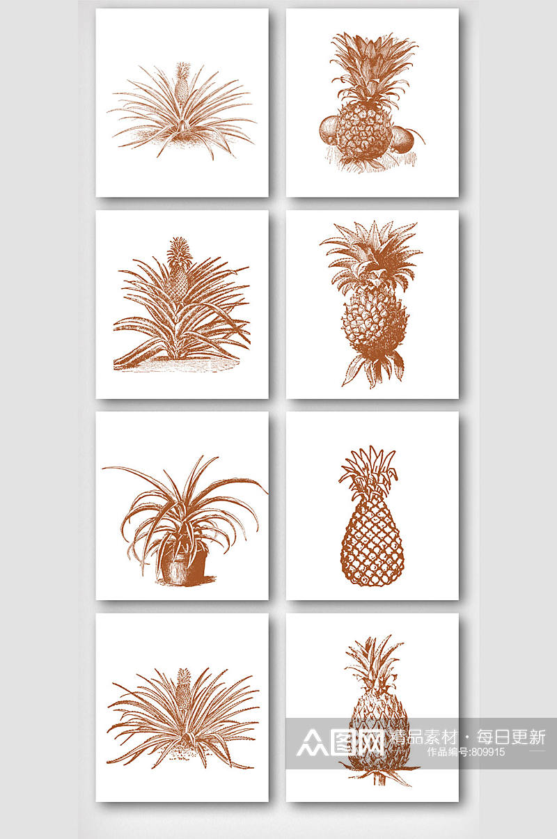 彩铅素描菠萝植物元素素材
