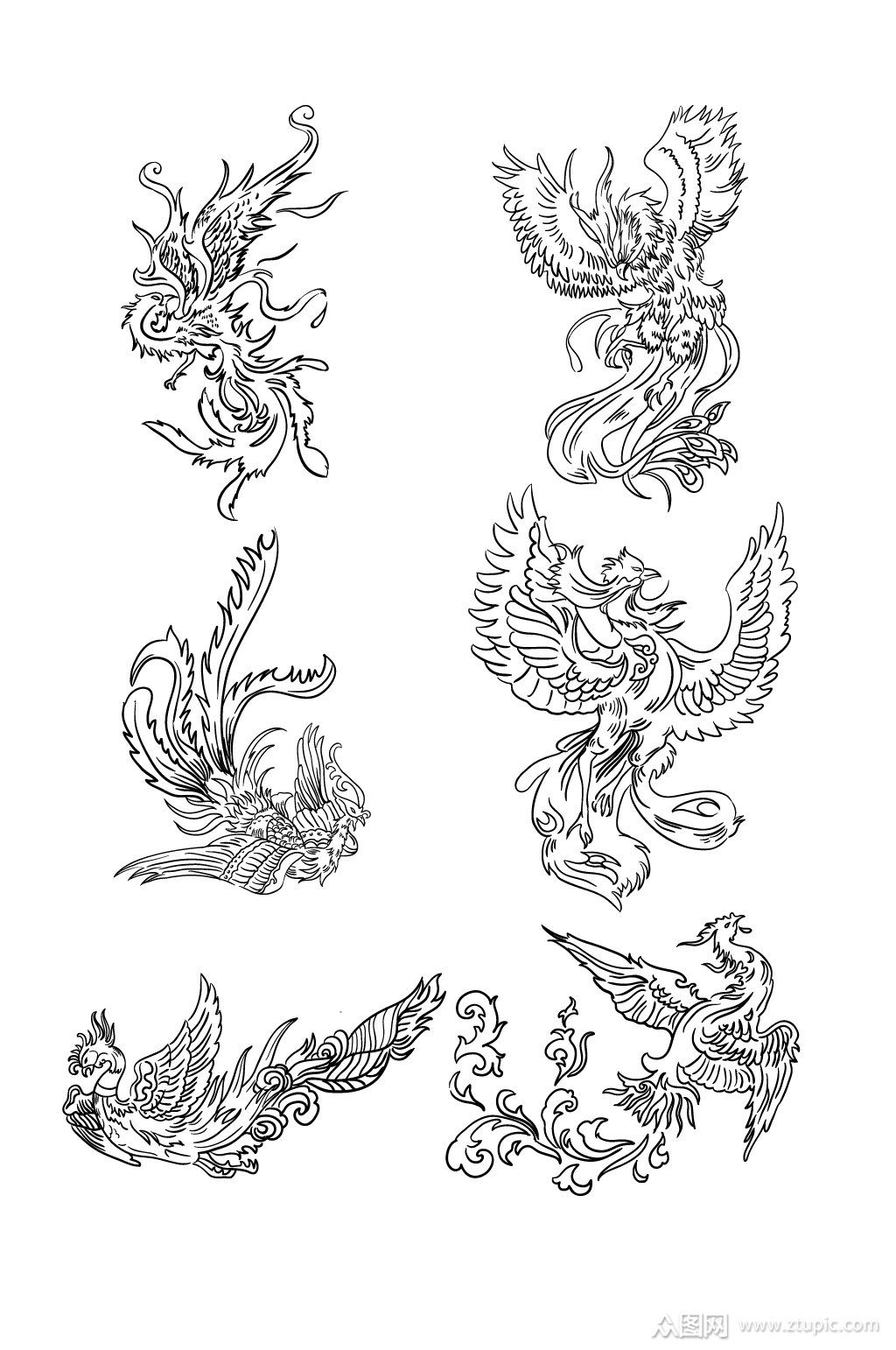 凤凰黑白稿线描手绘