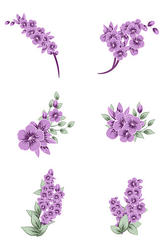 水彩风淡紫色花朵果实矢量图