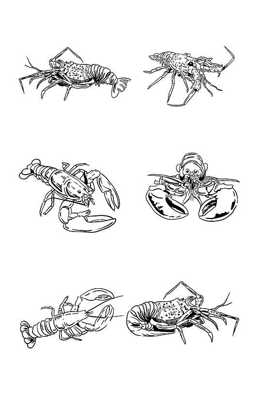 龙虾手绘素材黑白稿-众图网