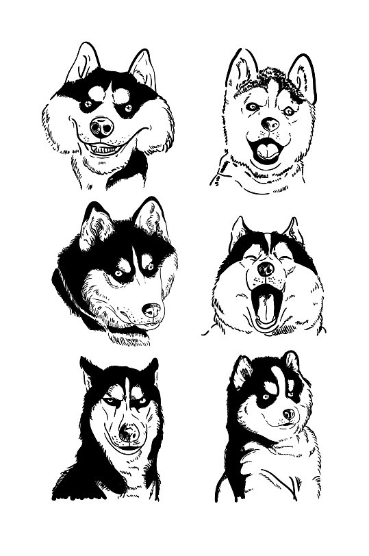 哈士奇黑白手绘线稿