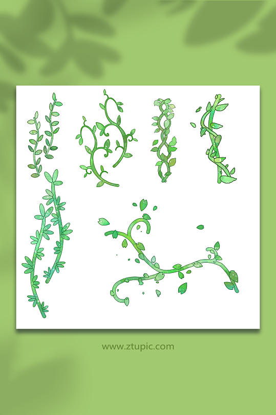 青绿色植物藤条青藤植物树叶春季插画元素