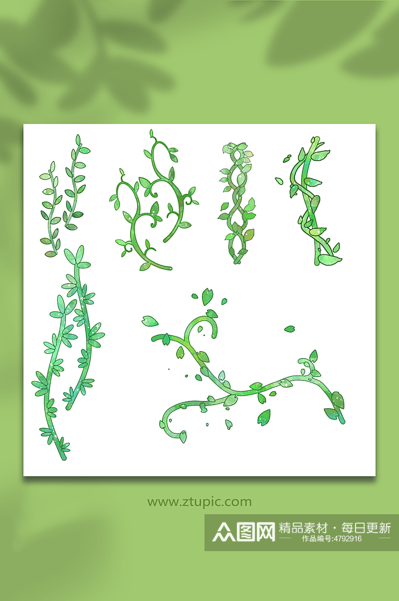 青绿色植物藤条青藤植物树叶春季插画元素素材