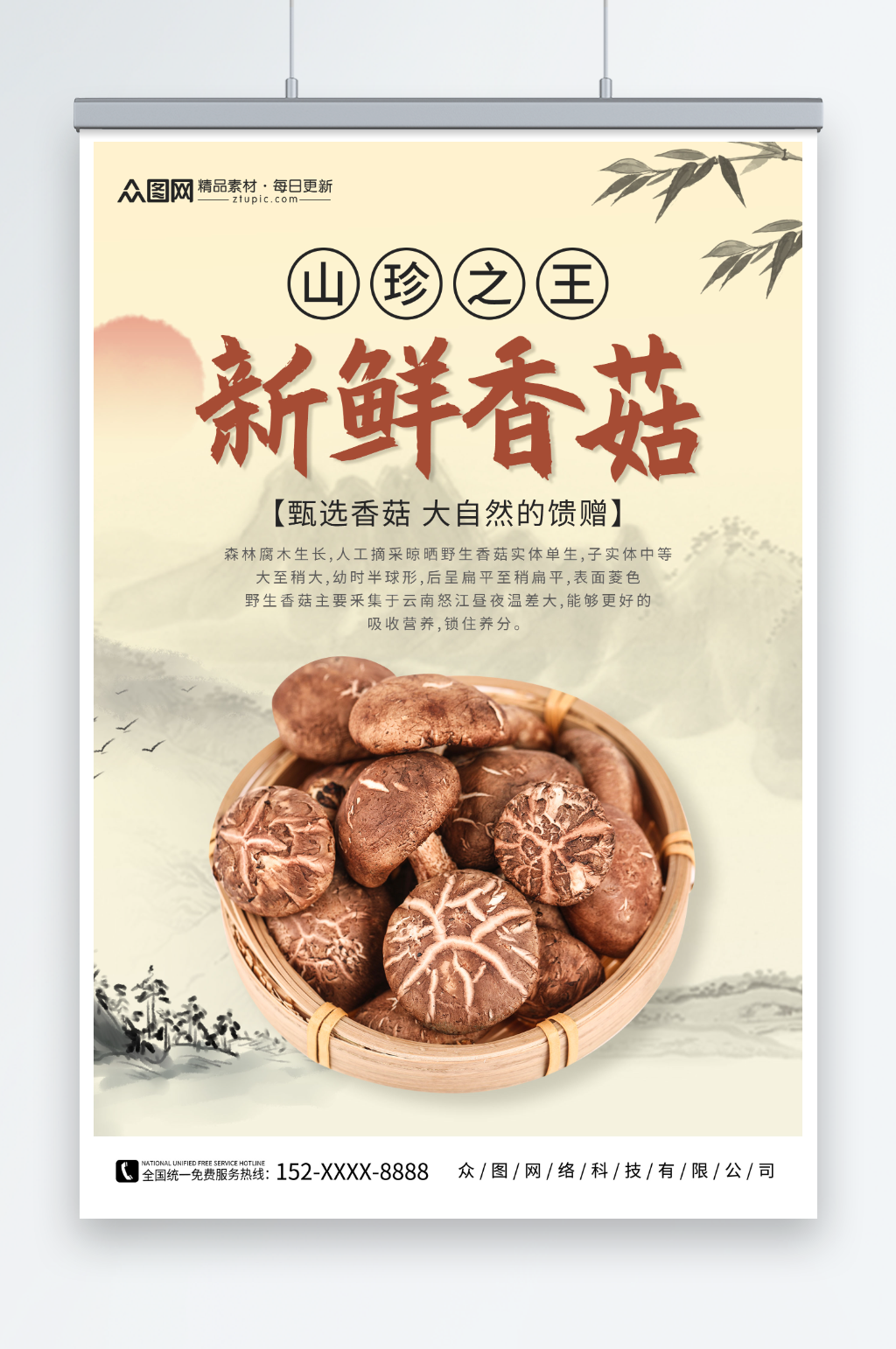 新鲜香菇新鲜香菇蘑菇蔬菜海报素材