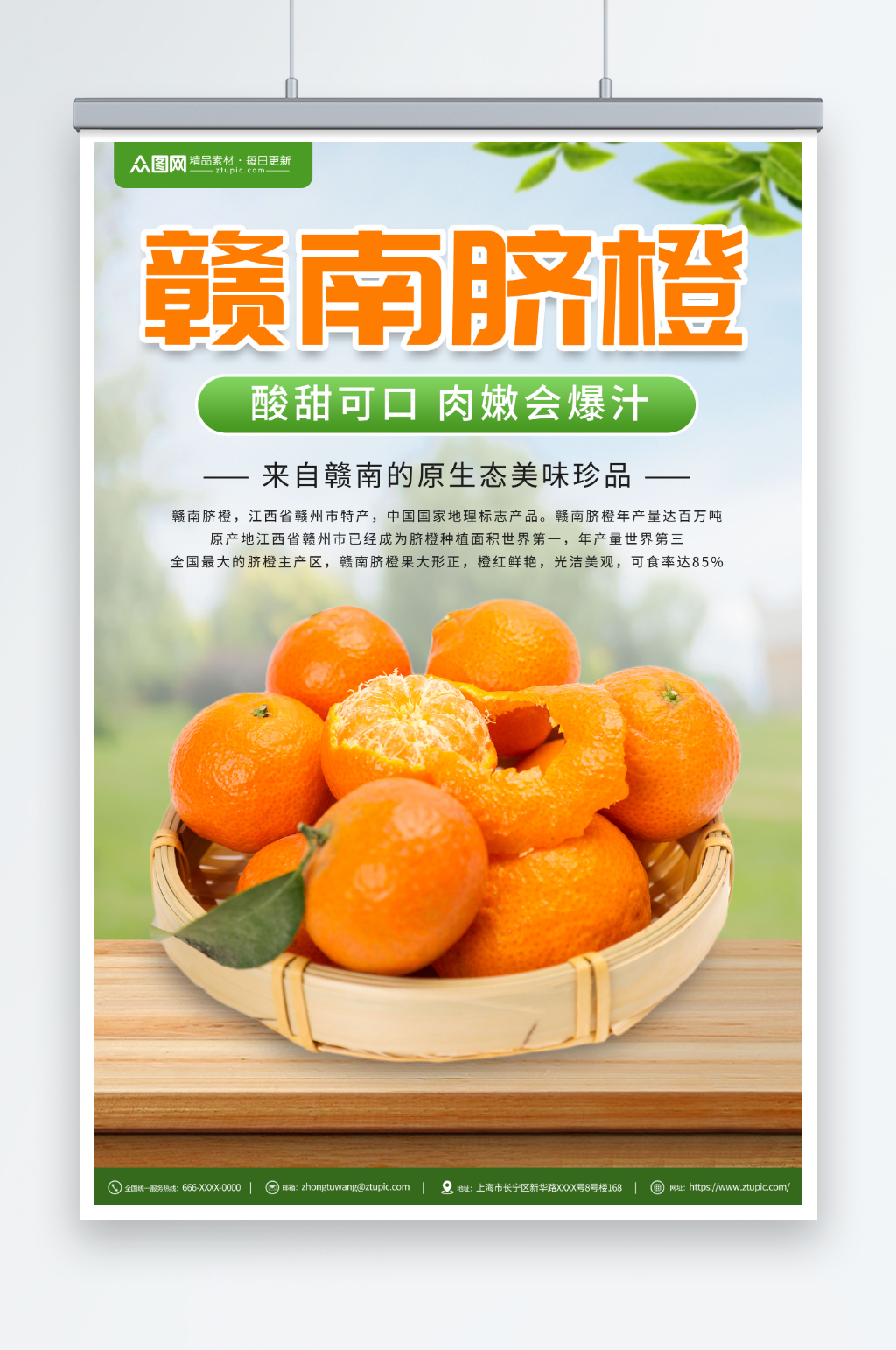 新鲜赣南脐橙橙子水果海报素材