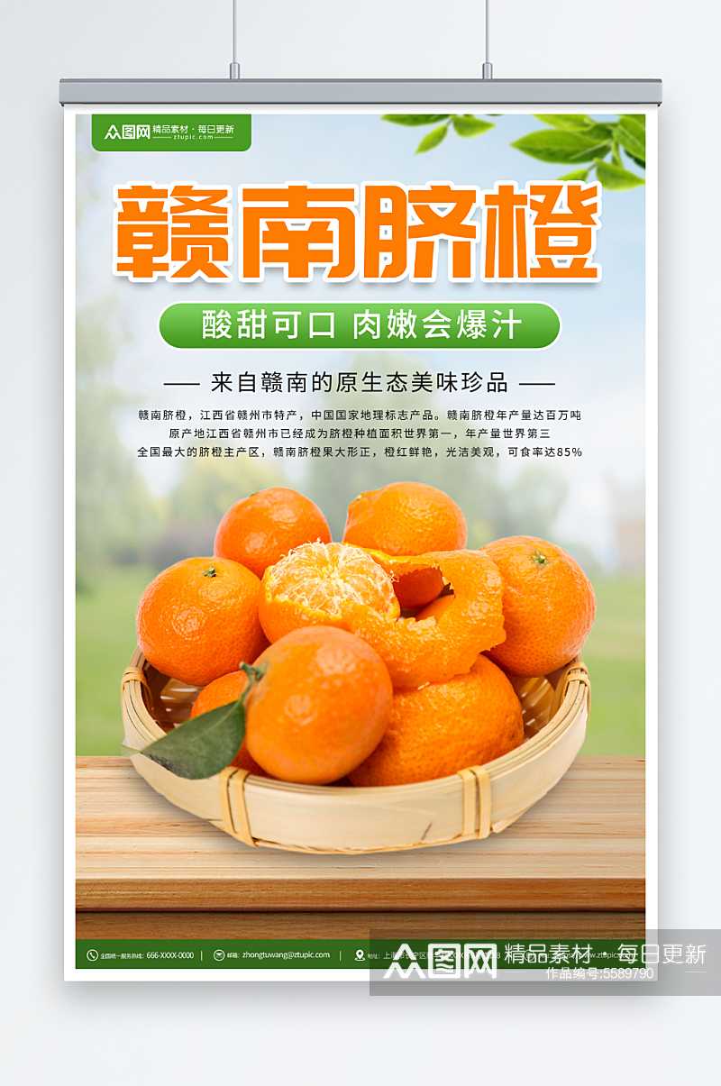 新鲜赣南脐橙橙子水果海报素材