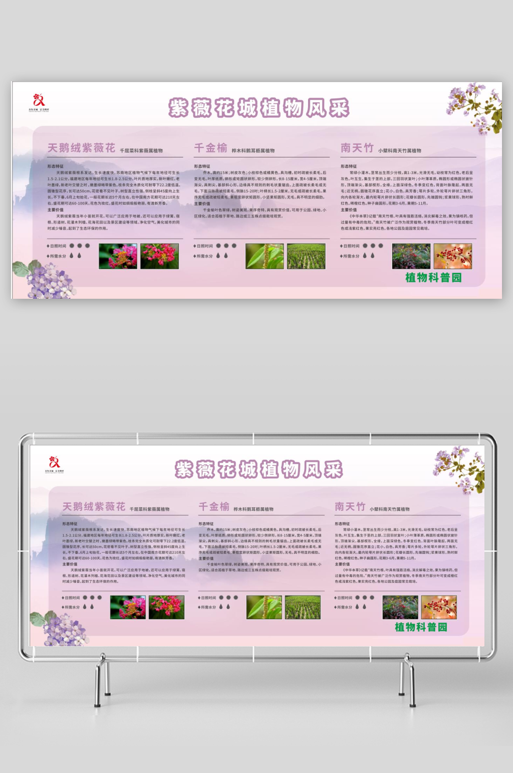 科普植物知识展板素材