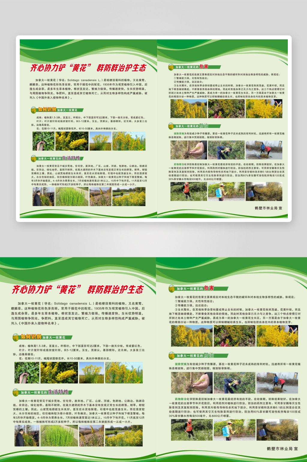 林业logo素材_林业logo模板_林业logo设计图片免费下载-众图网