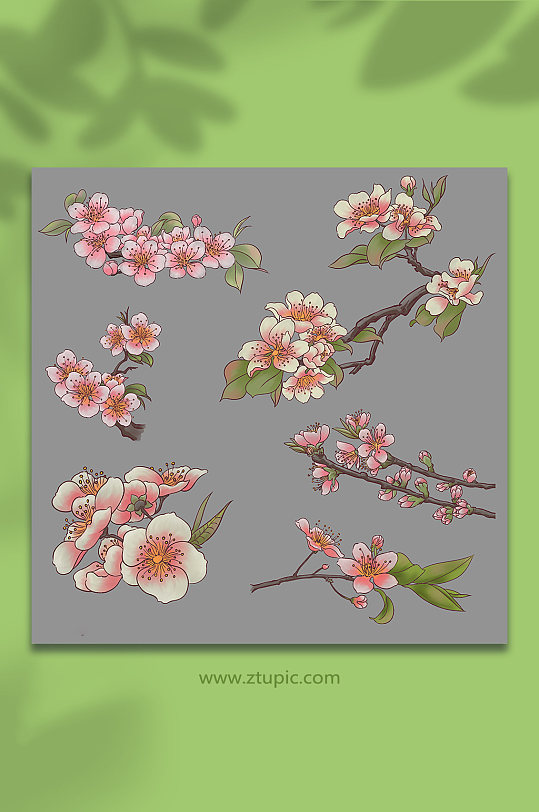 唯美古风桃花樱花花卉元素插画-众图网