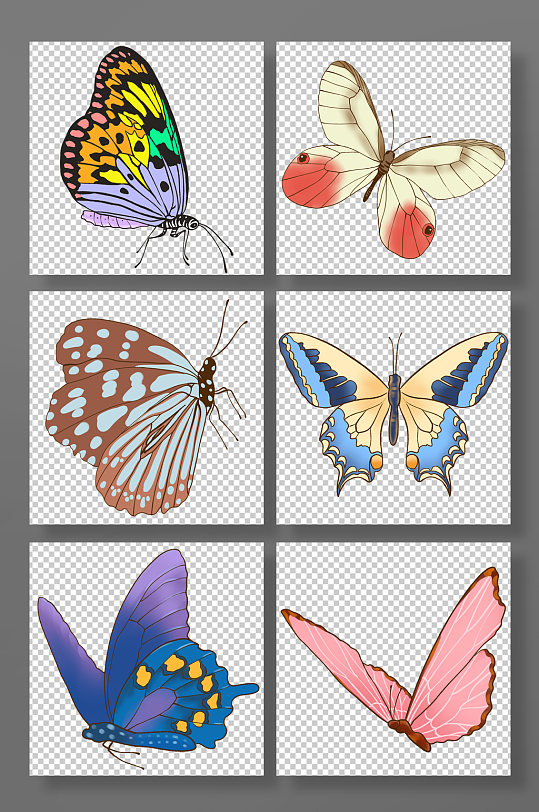 手绘写实春天蝴蝶昆虫元素插画-众图网