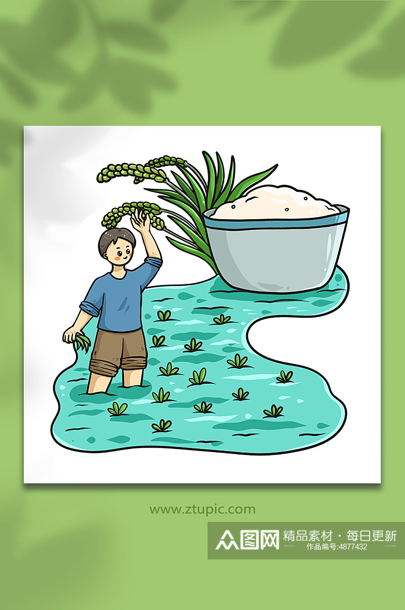 夏季芒种节气水稻米元素插画素材