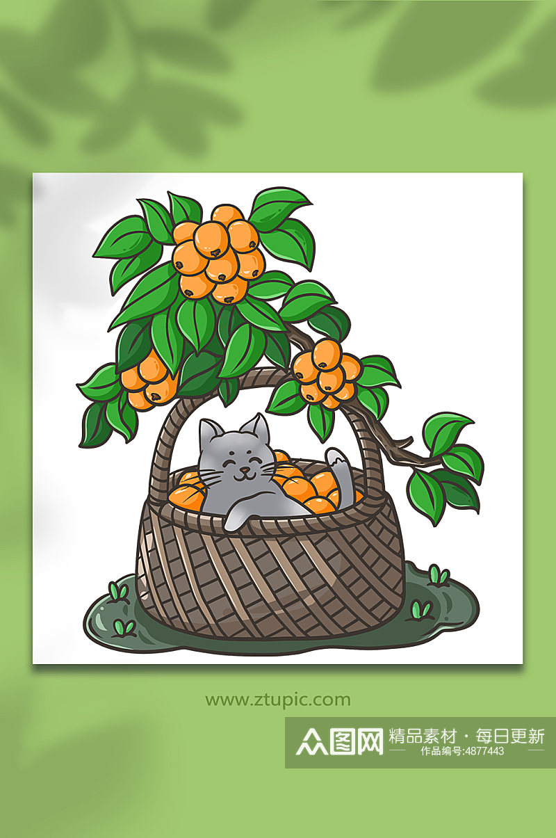 小满节气夏季枇杷可爱猫咪元素插画素材