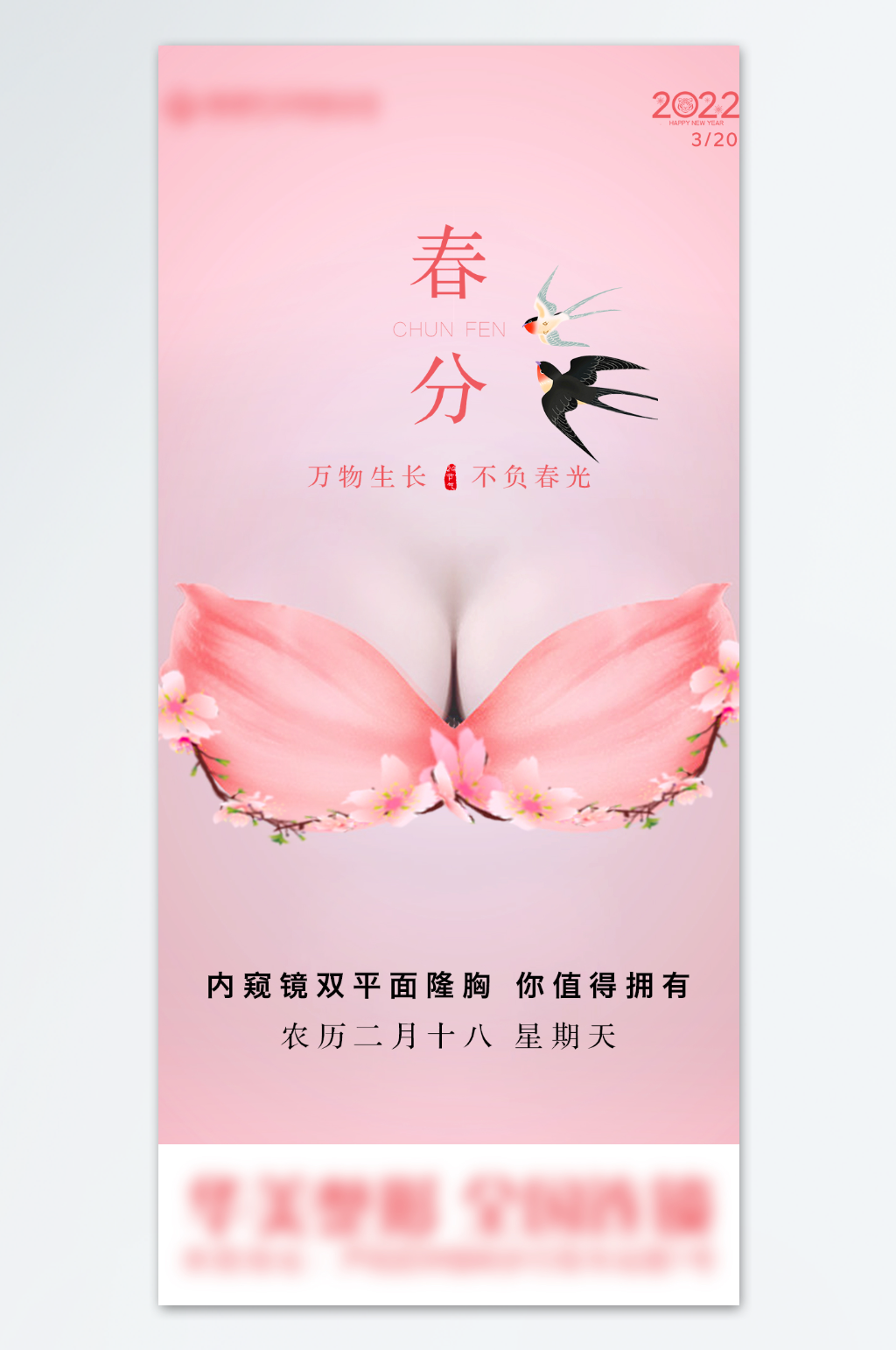 医美春分燕子节气海报素材