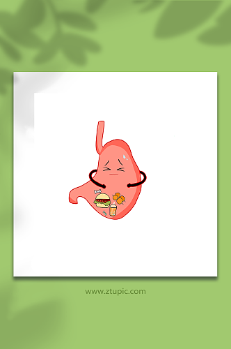 人体胃部器官插画