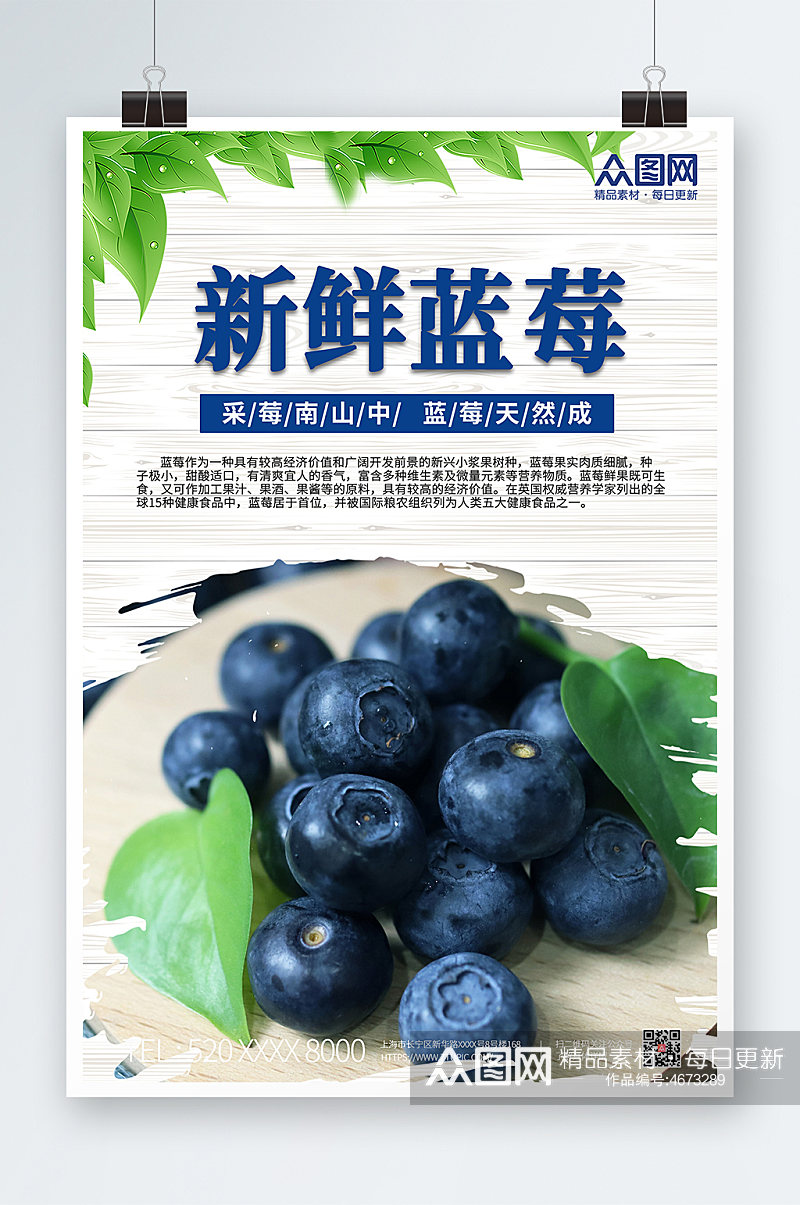 清新摄影风蓝莓新鲜水果海报素材