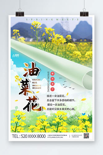 摄影风春季油菜花海报