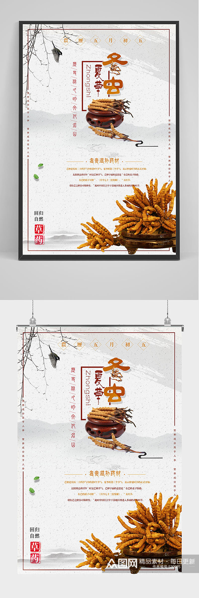 中国传统草药冬虫夏草海报设计素材