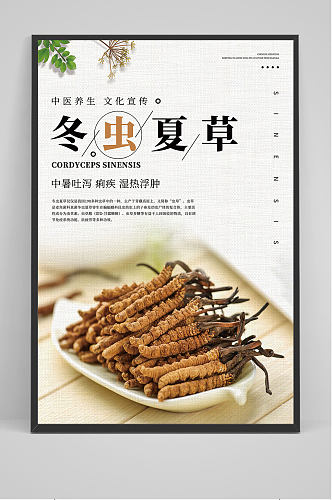 中国风冬虫夏草海报设计