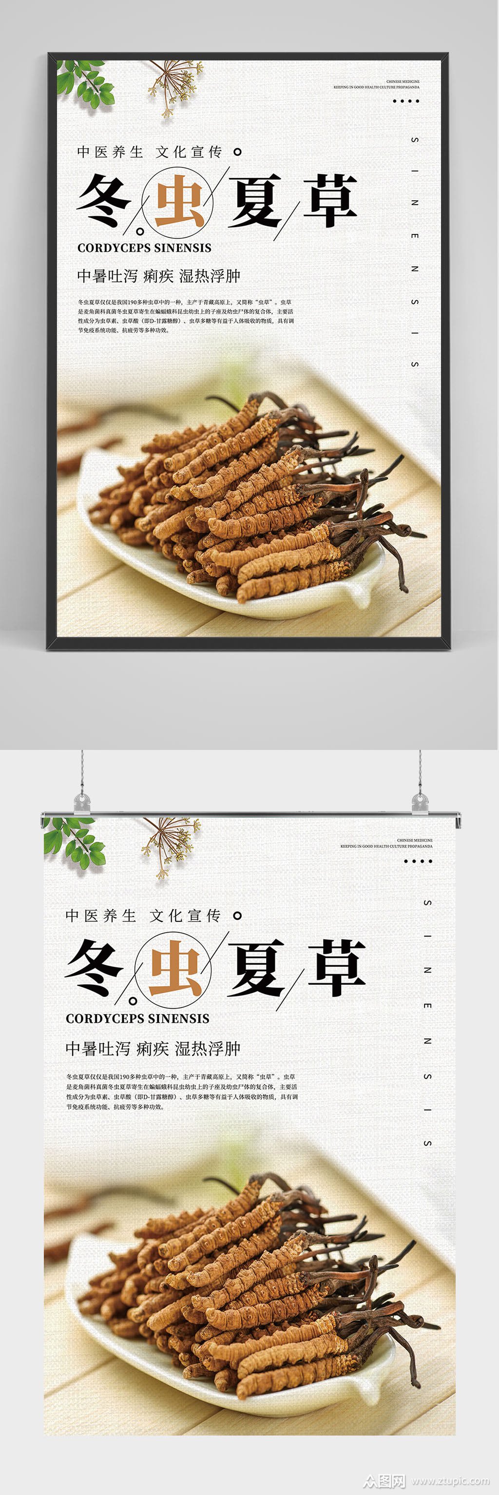 中国风冬虫夏草海报设计