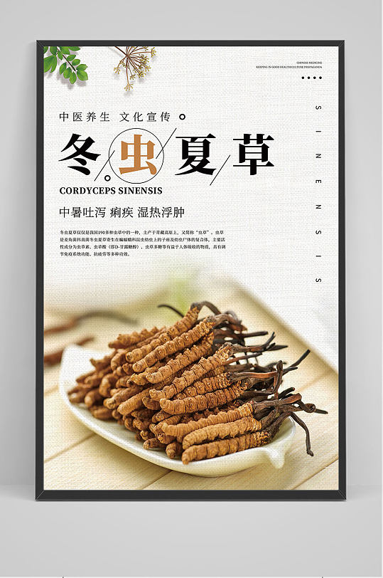 中国风冬虫夏草海报设计