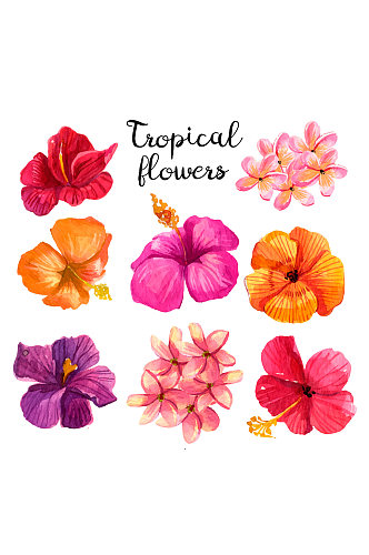 8款水彩绘热带花朵设计矢量图
