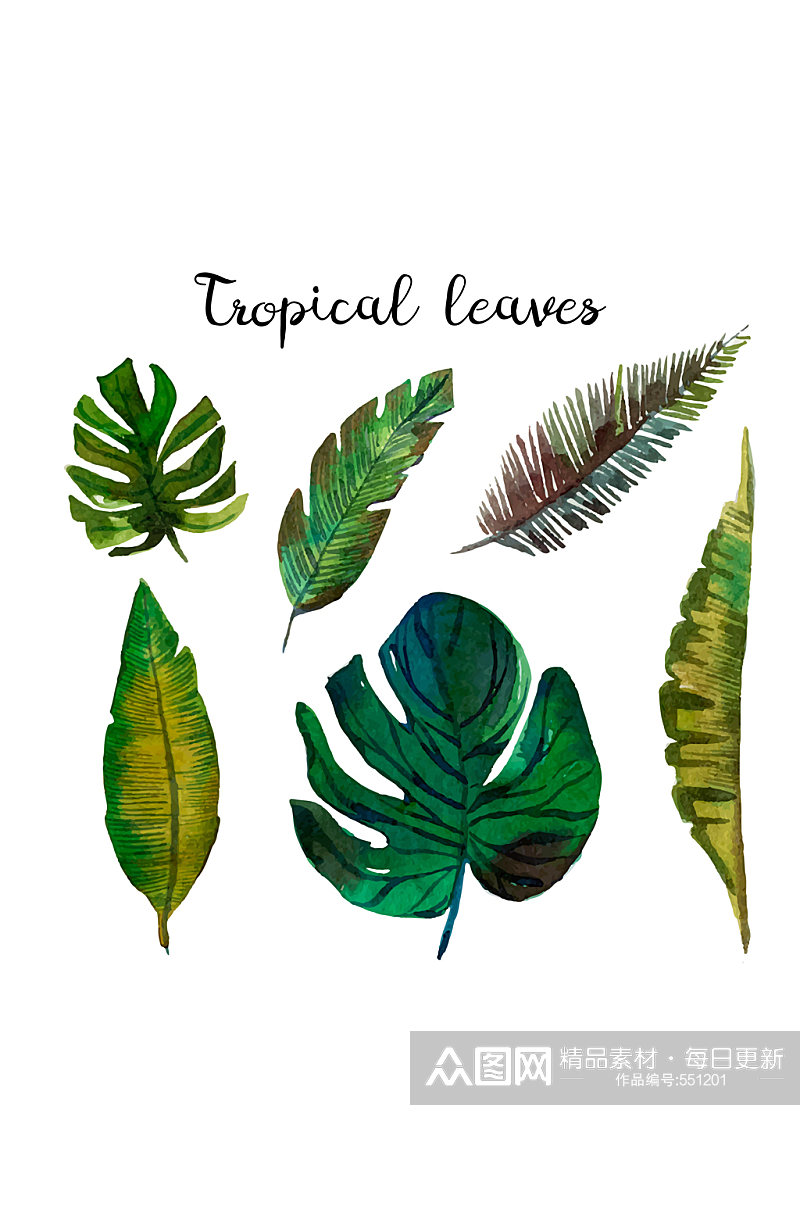 6款彩绘热带树叶矢量素材素材