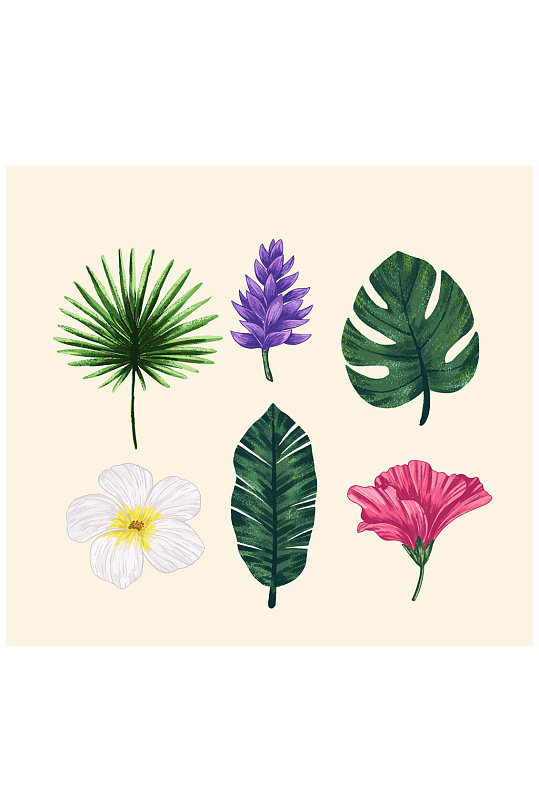 6款彩绘热带花朵和树叶矢量图
