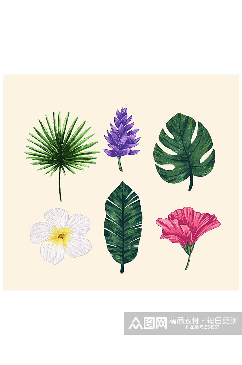 6款彩绘热带花朵和树叶矢量图素材
