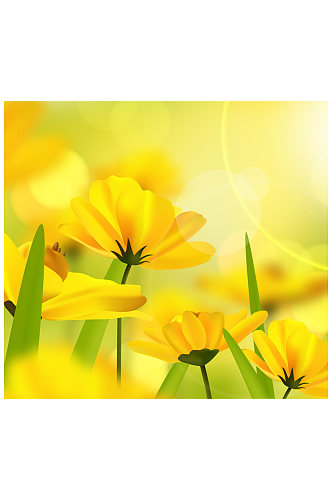美丽阳光下的黄色花卉矢量素材