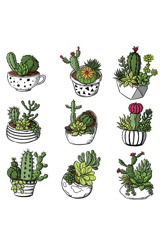 手绘多肉植物矢量图图片-手绘多肉植物矢量图设计素材-手绘多肉植物