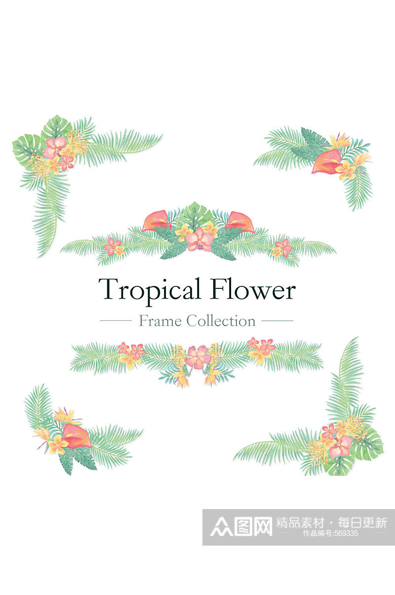 6款彩绘热带花卉边框矢量素材素材