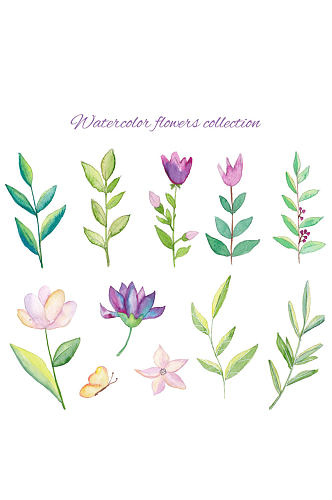 10款水彩绘花卉和树叶矢量图