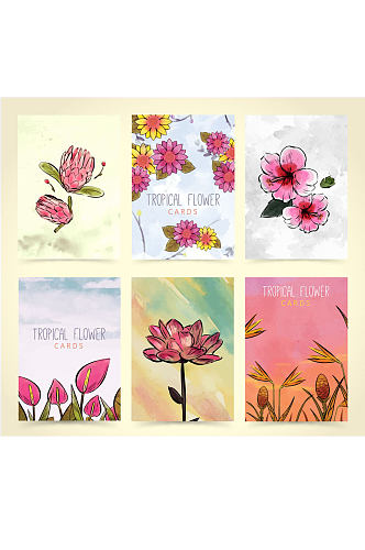 6款手绘热带花卉卡片矢量素材