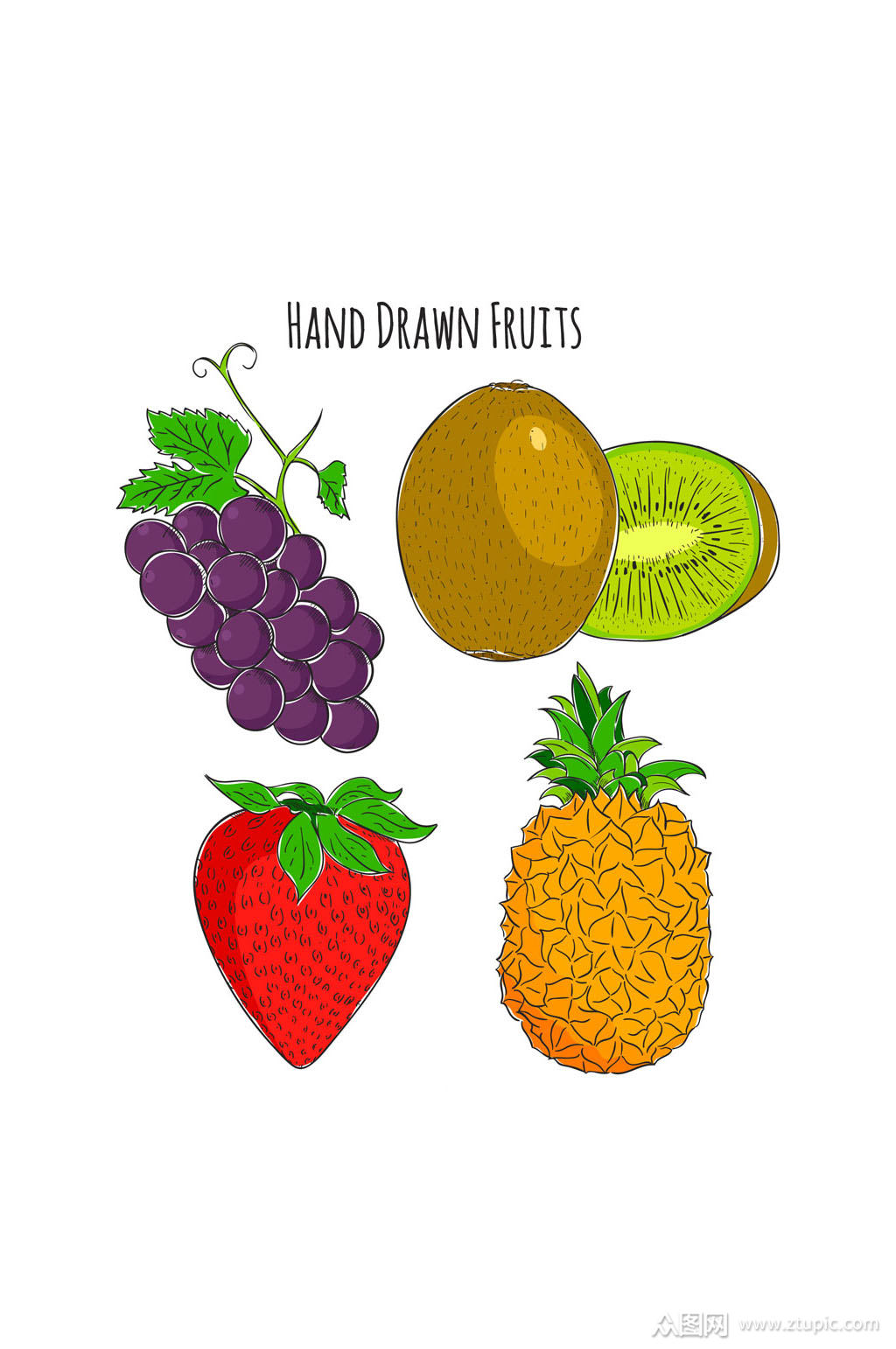 4款彩色手绘水果矢量素材