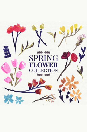 15款彩绘春季花卉矢量素材