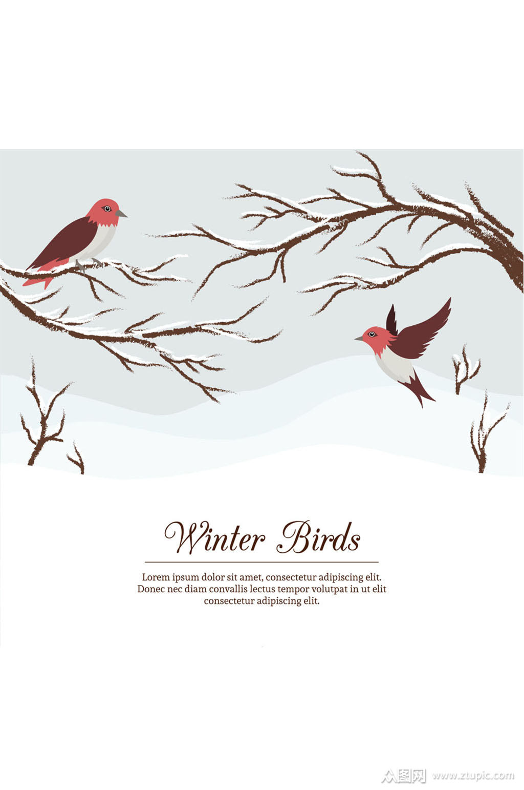 彩绘冬季树枝和鸟矢量素材