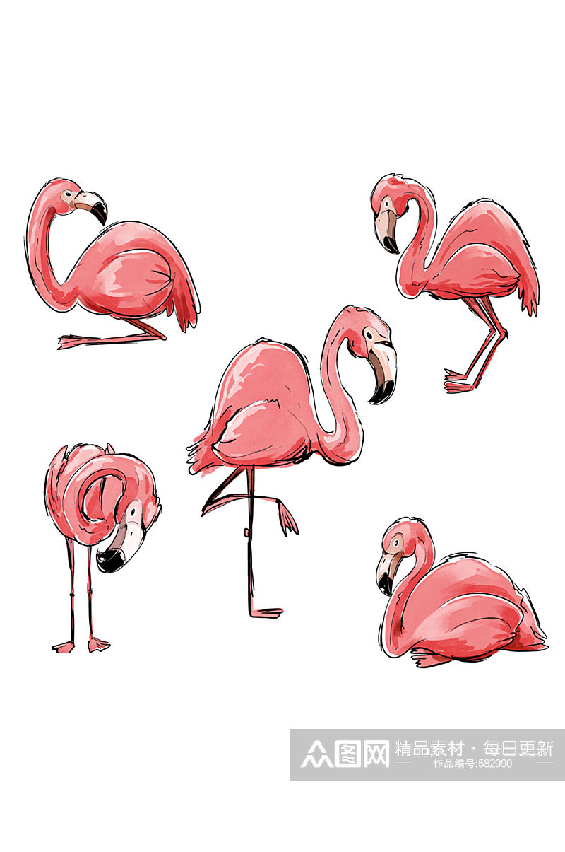 5款手绘粉色火烈鸟矢量图素材