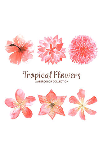 6款水彩绘粉色热带花卉矢量图