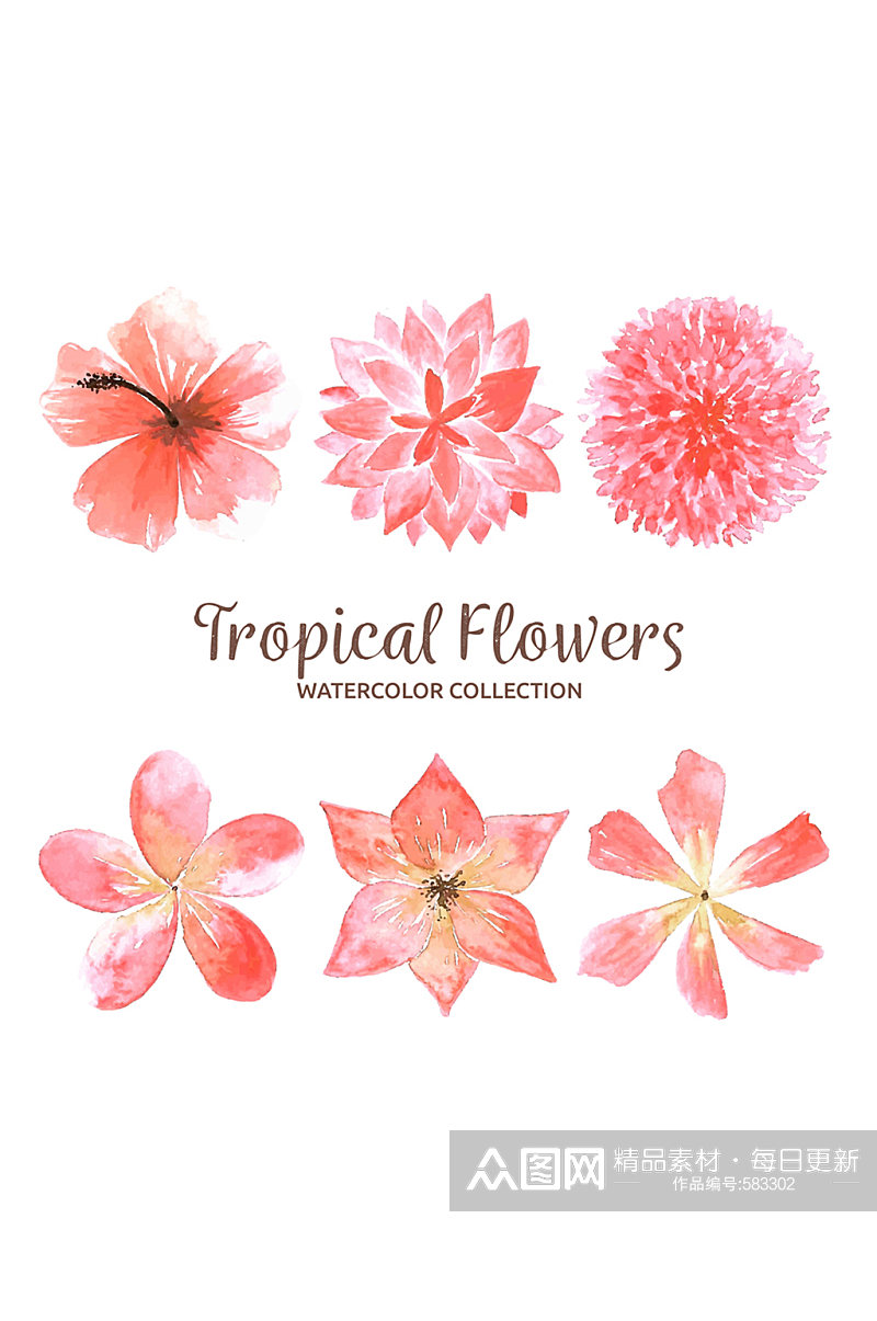 6款水彩绘粉色热带花卉矢量图素材