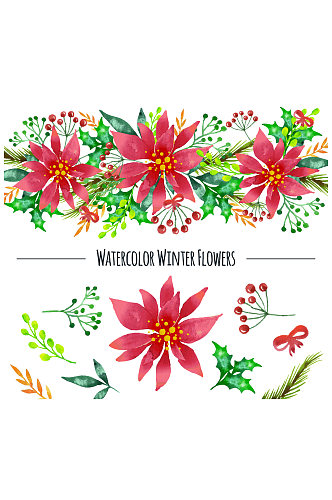 水彩绘冬季植物和花边矢量素材