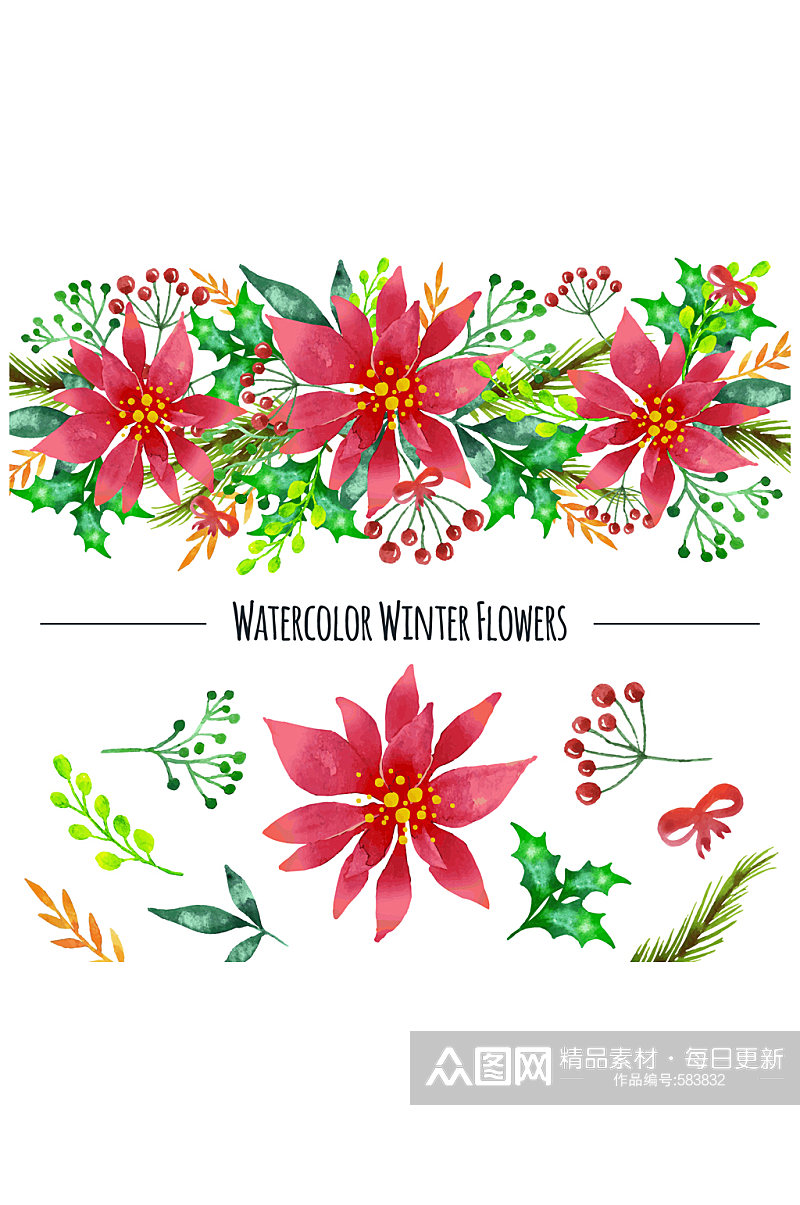 水彩绘冬季植物和花边矢量素材素材