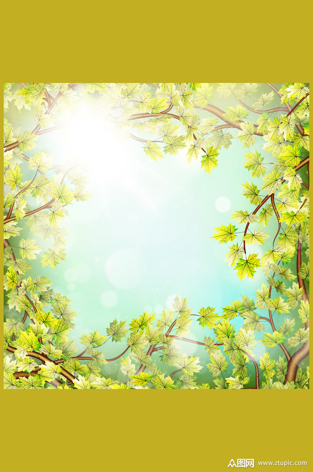 春季树梢和阳光框架矢量素材