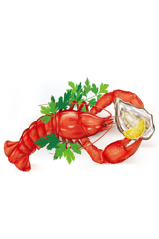 美味龙虾和牡蛎菜肴矢量素材