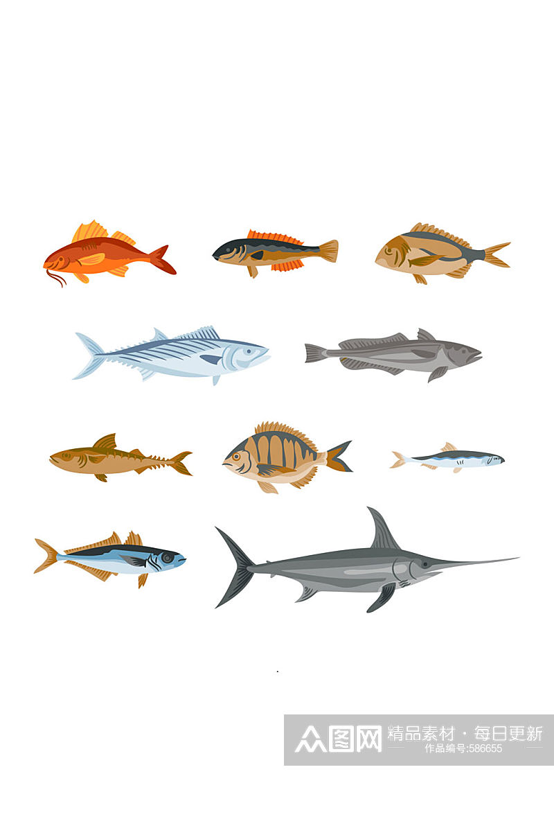 10款彩绘逼真鱼类设计矢量图素材