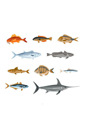10款彩绘逼真鱼类设计矢量图