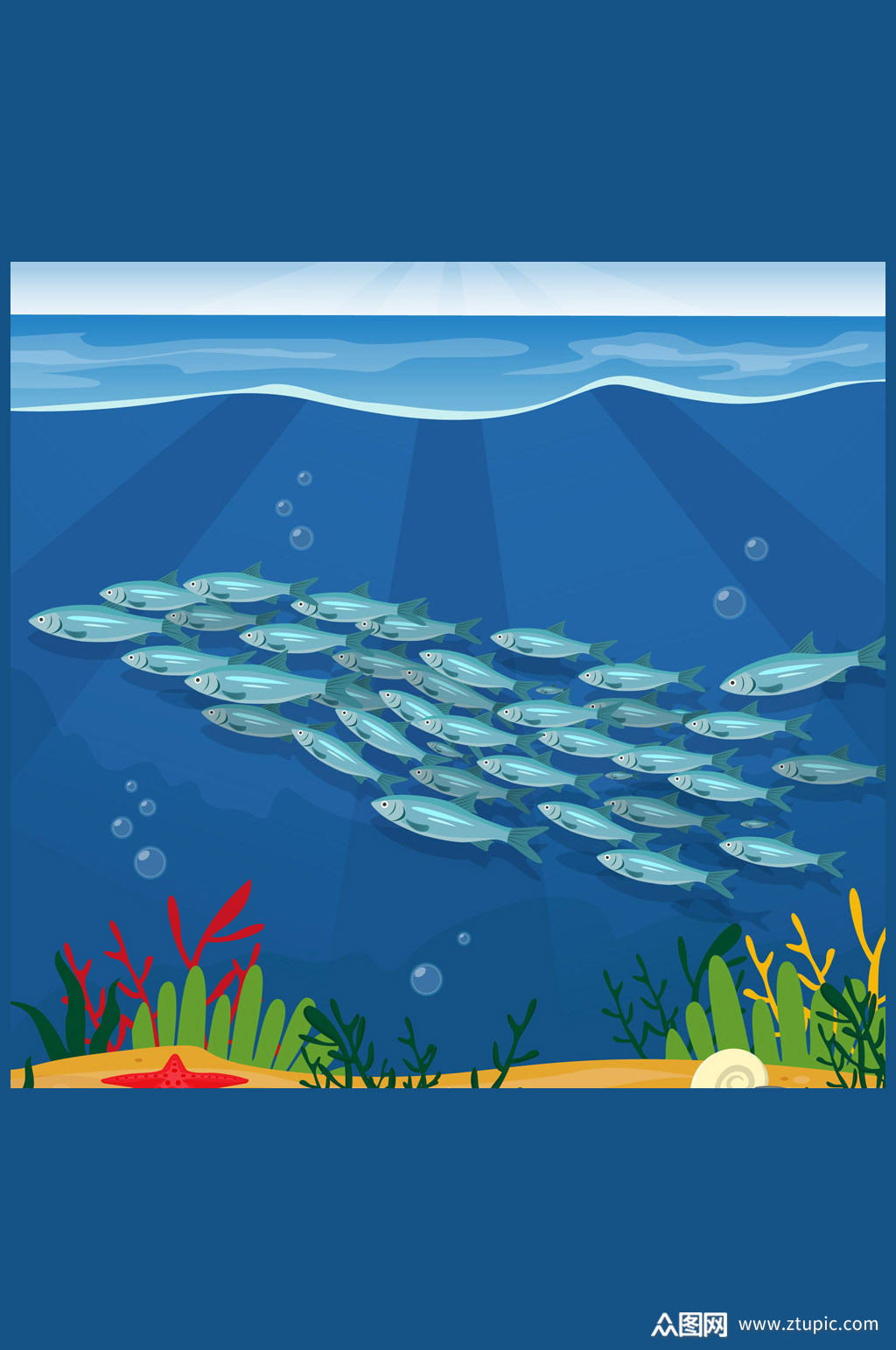 美丽海底银色鱼群矢量素材