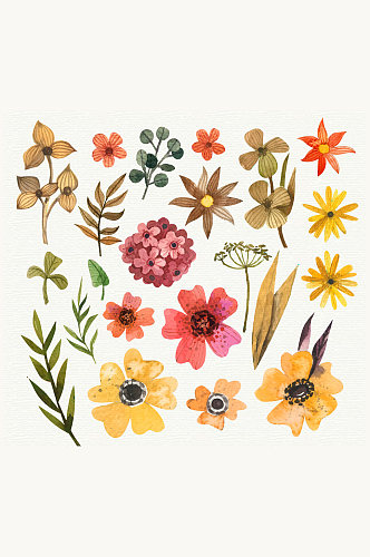 22款水彩绘花卉和叶子矢量图