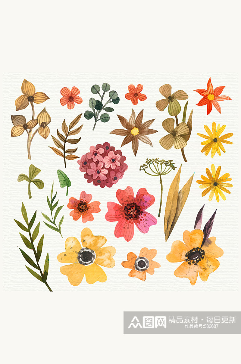 22款水彩绘花卉和叶子矢量图素材