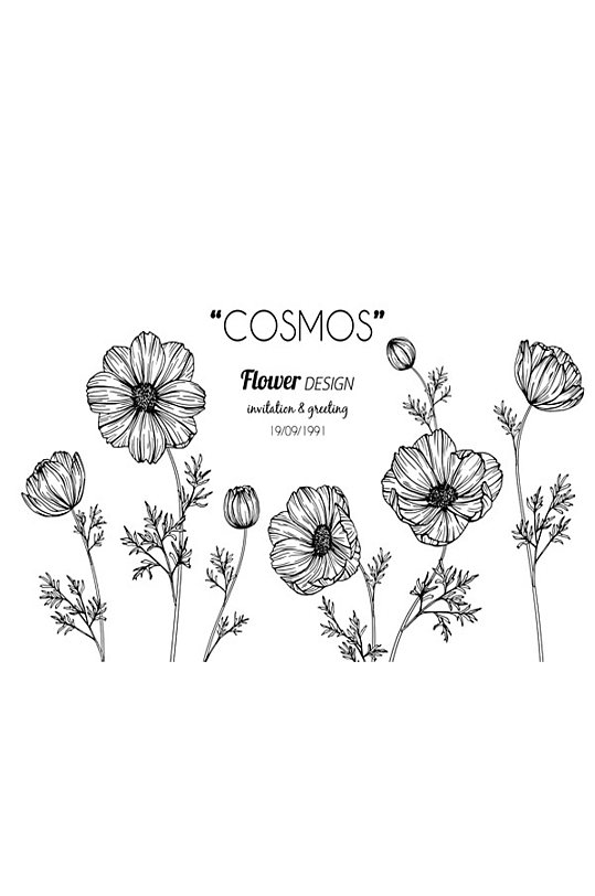 矢量图黑白图图片-矢量图黑白图素材下载-众图网