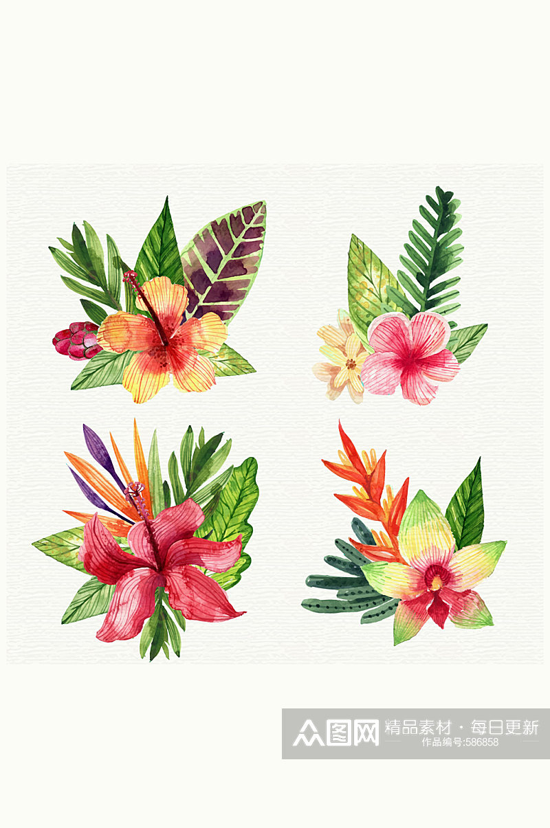 4款水彩绘热带花卉和叶子矢量图素材
